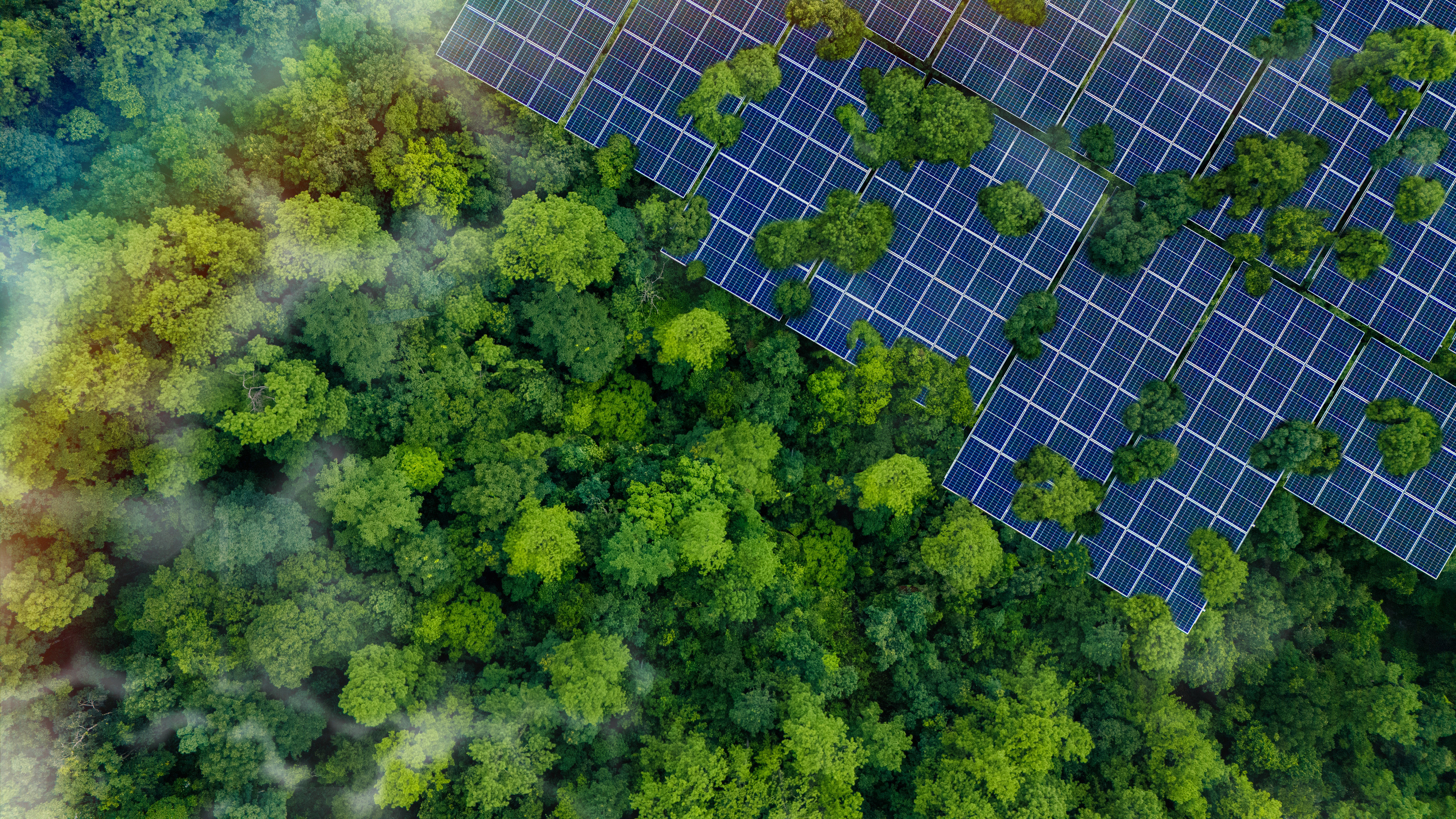 SIB Energy Ecosystem