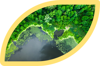 decarbonization consultation