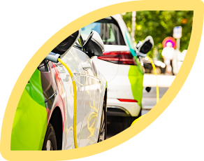 electric mobility consultation